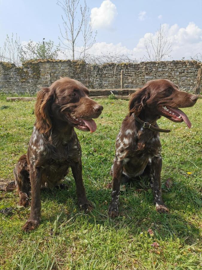 B&B A La Ferme D'Ourches Cerville Dış mekan fotoğraf